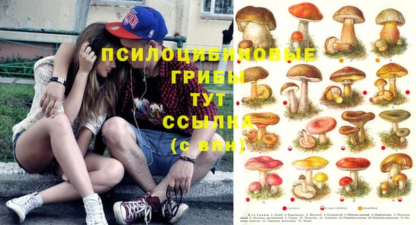 соль курить ск Белоозёрский